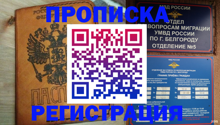 прописка для работы в Видном